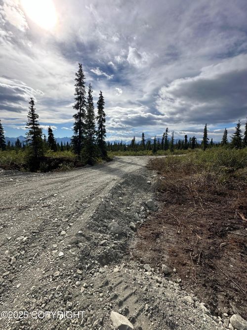 49662 S Timberwolf Rd, Chickaloon, AK, 99674 | Card Image