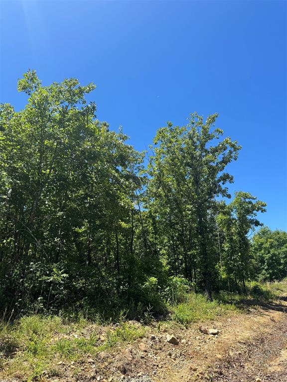 Land in Watson 4