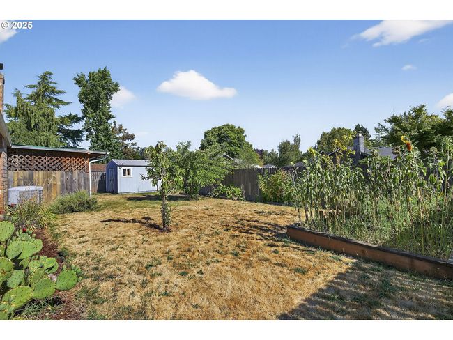 Backyard-Fenced | Image 31