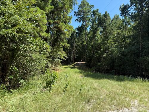 tbd Creeklake Dr, Onalaska, TX, 77360 | Card Image