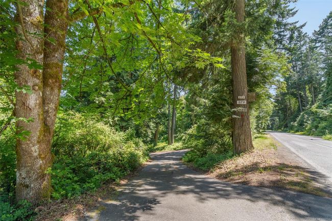 View of street with a forest view | Image 5