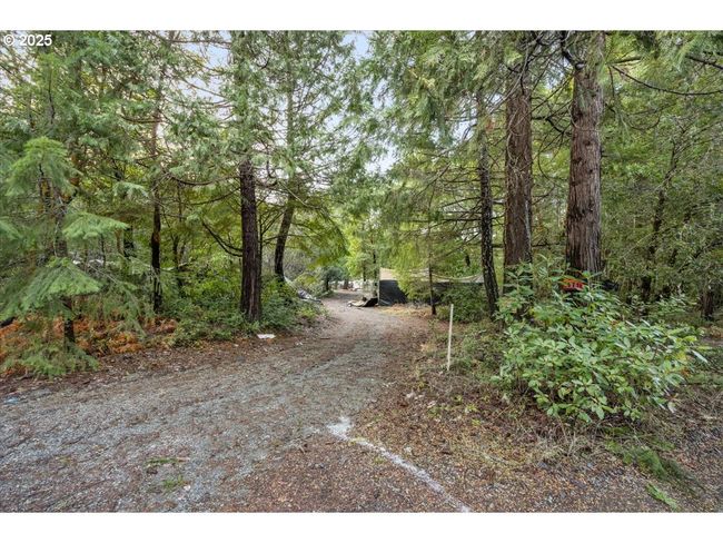 571 Briar Ln, House other with 5 bedrooms, 2 bathrooms and 2 parking in Selma OR | Image 8
