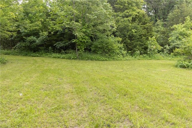 View of green lawn | Image 10