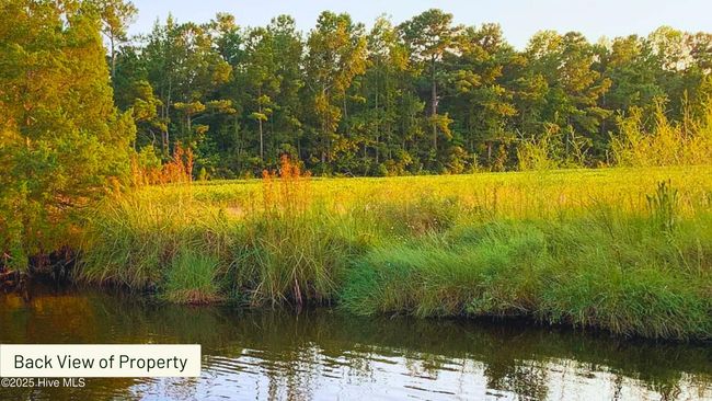 458 Swan Point Rd, Home with 0 bedrooms, 0 bathrooms and null parking in Bayboro NC | Image 5