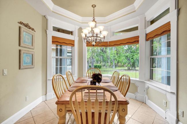 48 Audubon Ln, House other with 7 bedrooms, 5 bathrooms and null parking in Flagler Beach FL | Image 23