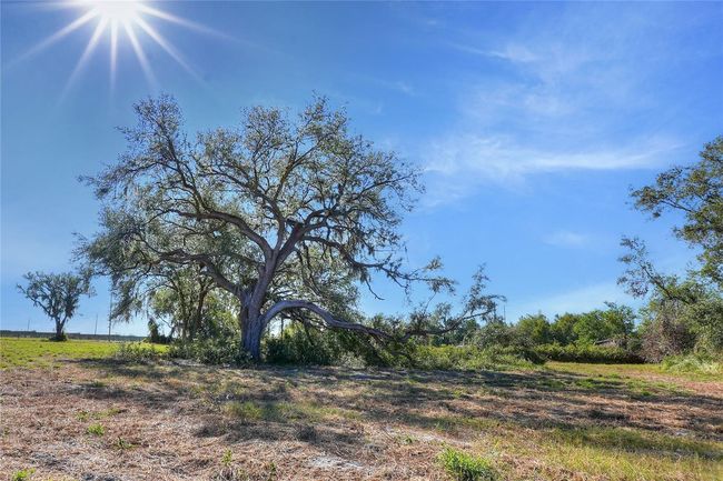 17744 Bledsoe Loop, Home with 0 bedrooms, 0 bathrooms and null parking in LITHIA FL | Image 4