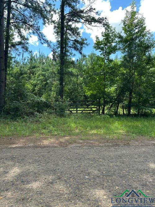 TBD 16.79ac W Liberty Road, Harleton, TX, 75651 | Card Image