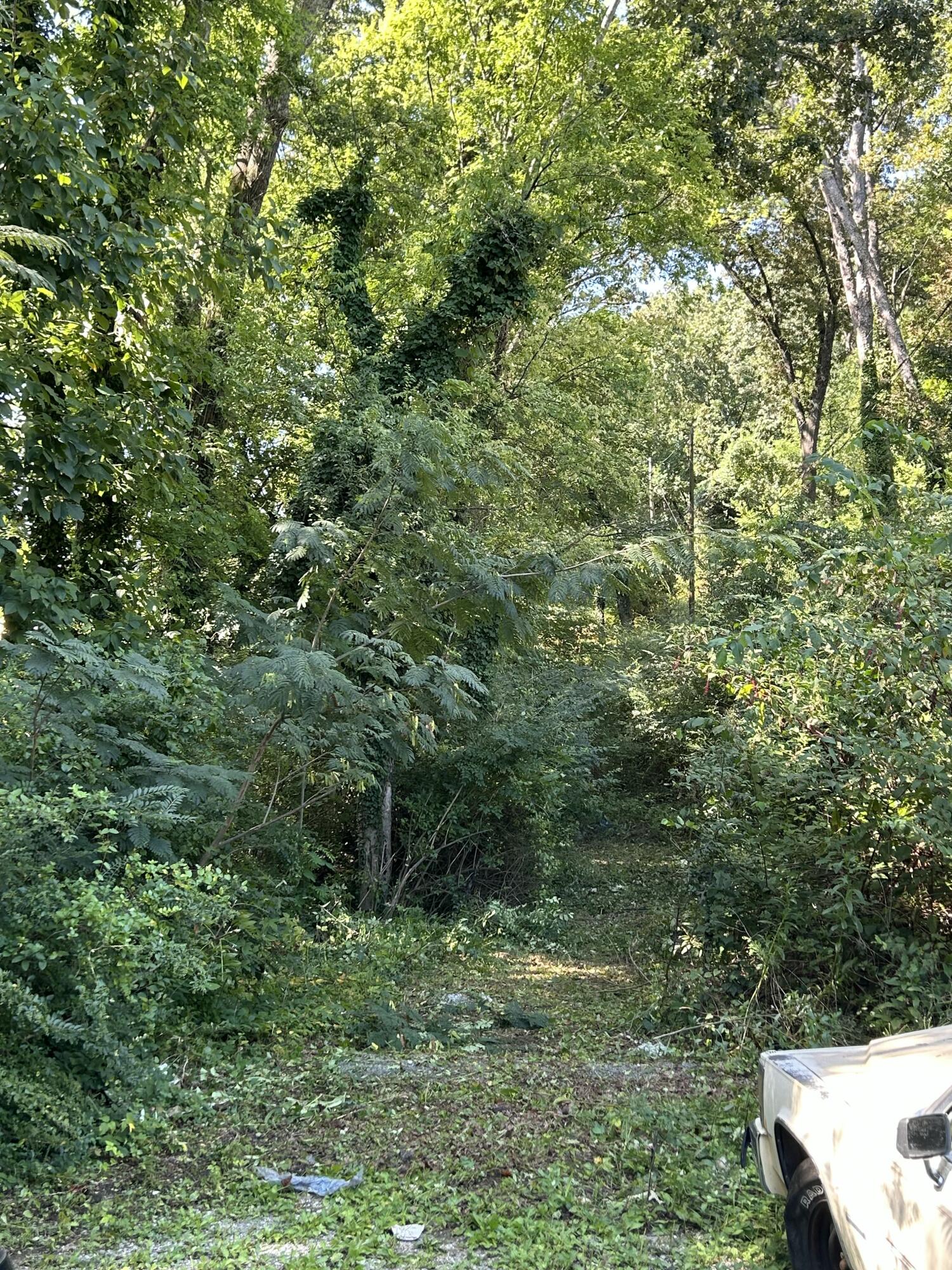Land in Chattanooga 3
