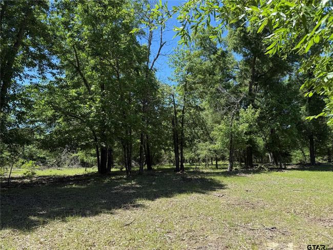 72 Acres N Farm Road 900, Home with 0 bedrooms, 0 bathrooms and null parking in Saltillo TX | Image 31