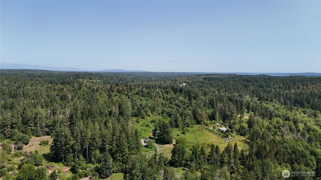 Conveniently located easement gives access and still gives you privacy to your lots! | Image 5