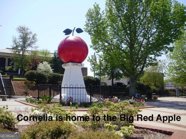 266 Short Ave, House other with 3 bedrooms, 3 bathrooms and null parking in Cornelia GA | Image 47