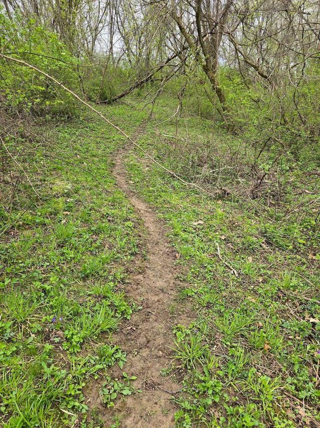 71 +/- Acres Scenic View Road, Home with 0 bedrooms, 0 bathrooms and null parking in Seneca WI | Image 45