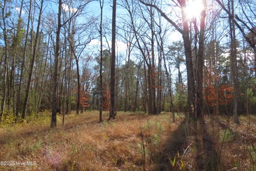 109 Winding Creek Dr, Oriental, NC, 28571-9141 | Card Image