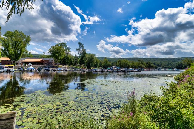 Water view featuring a forest | Image 13