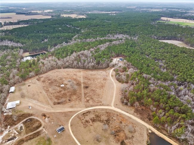 0 Banks Dairy Rd, Home with 0 bedrooms, 0 bathrooms and null parking in Portal GA | Image 10