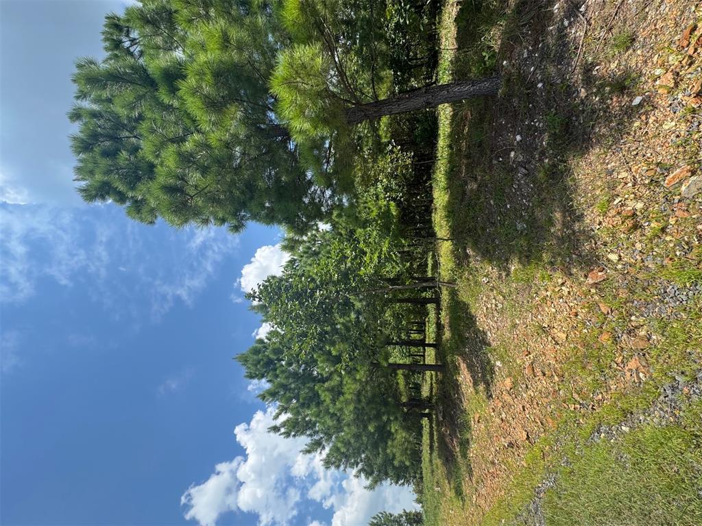 Land in Broken Bow 4