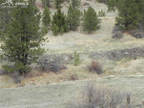 521 Monarch Dr, Cripple Creek, CO, 80813-9608 | Card Image