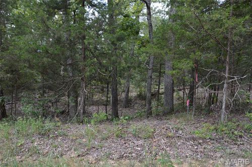 0 Beach Ln, Sainte Genevieve, MO, 63670 | Card Image