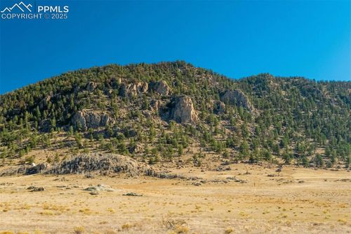 1354 Puma Hills Rd, Lake George, CO, 80827 | Card Image