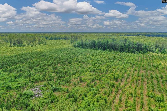 0000 N Brewington Rd, Home with 0 bedrooms, 0 bathrooms and null parking in Manning SC | Image 18