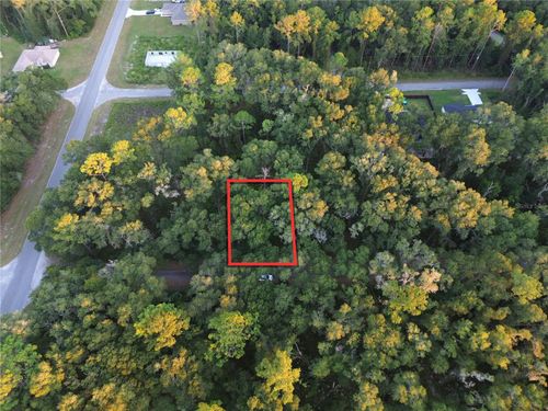 TBD Sequoia Loop Track, Ocklawaha, FL, 32179 | Card Image