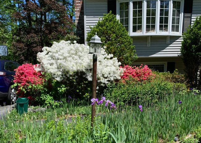 56 Whippoorwill Ln, House other with 3 bedrooms, 2 bathrooms and null parking in Bedford NH | Image 6