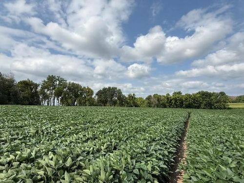 Lot A Lehigh Road, Cottage Grove, MN, 55016 | Card Image