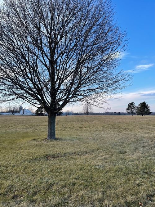 17408 Wildflower Circle, Union, IL, 60180 | Card Image