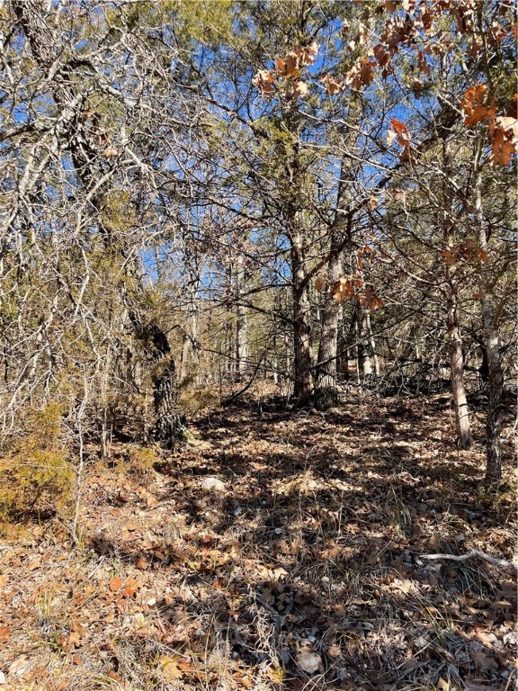 Thomas Cir, Holiday Island, AR 72631
