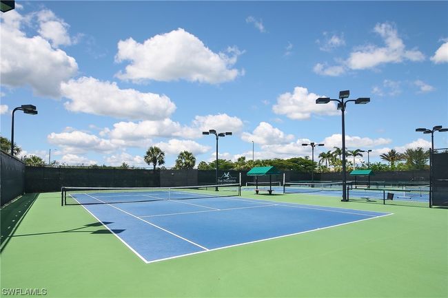 20506 Black Tree Ln, House other with 3 bedrooms, 3 bathrooms and null parking in ESTERO FL | Image 43