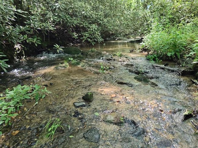 Lot 3 Megan Trace Ln, Home with 0 bedrooms, 0 bathrooms and null parking in Turtletown TN | Image 16