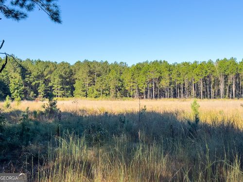 0 Penn St, Waynesboro, GA, 30830 | Card Image