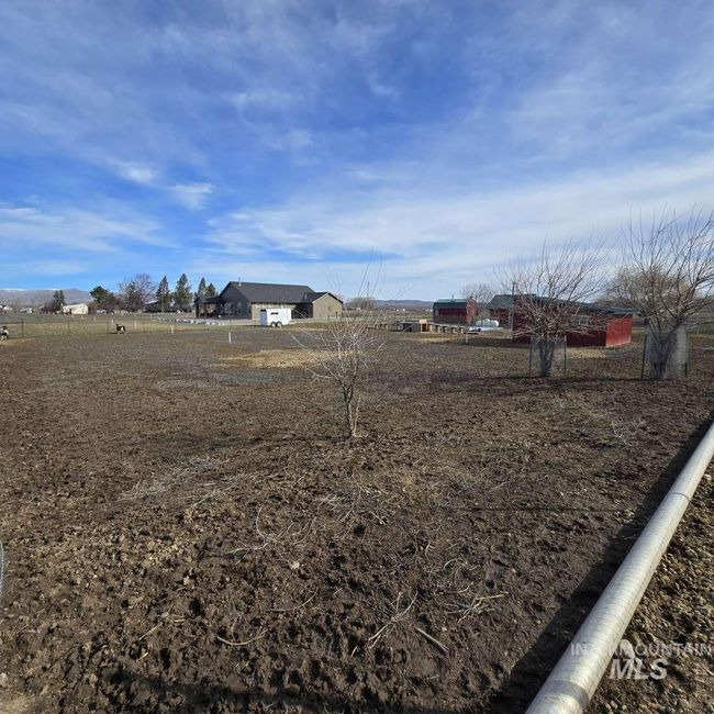 View of yard | Image 30
