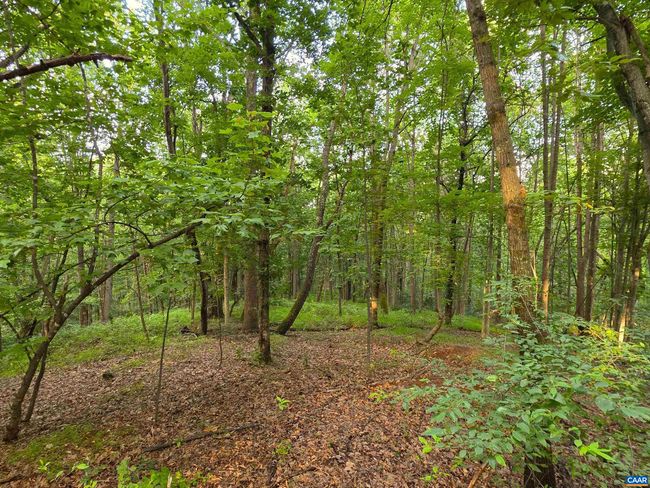 22 Mountain Laurel Rdg, Home with 0 bedrooms, 0 bathrooms and null parking in CHARLOTTESVILLE VA | Image 8