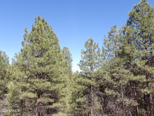 77-1601 Moqui Dr, Happy Jack, AZ, 86024-8490 | Card Image