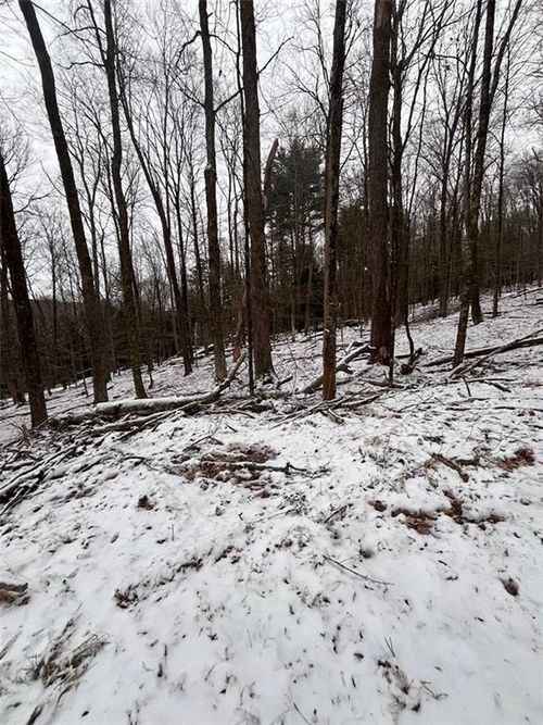 Iroquois Trail Mohican Trail, Bethel, NY, 12720 | Card Image
