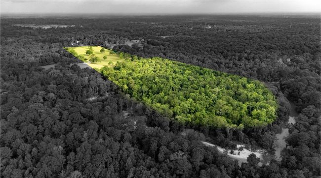000 Seven Sisters Rd, Home with 0 bedrooms, 0 bathrooms and null parking in New Caney TX | Image 12