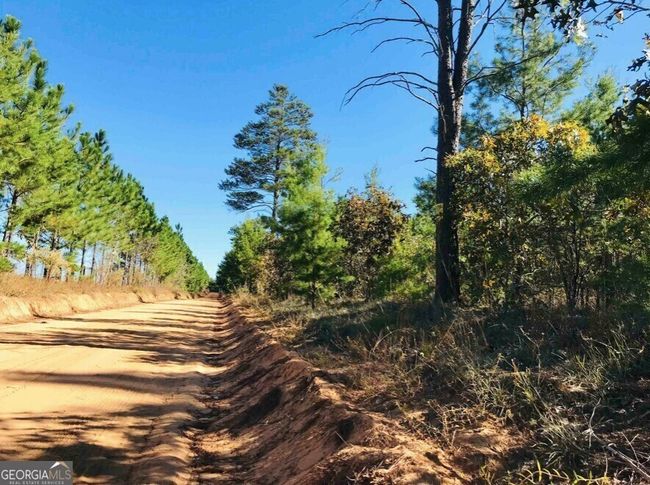 245 Dog Track Rd, Home with 0 bedrooms, 0 bathrooms and null parking in Mauk GA | Image 4