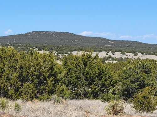 172 Rosewood Dr, Tajique, NM, 87016-1157 | Card Image