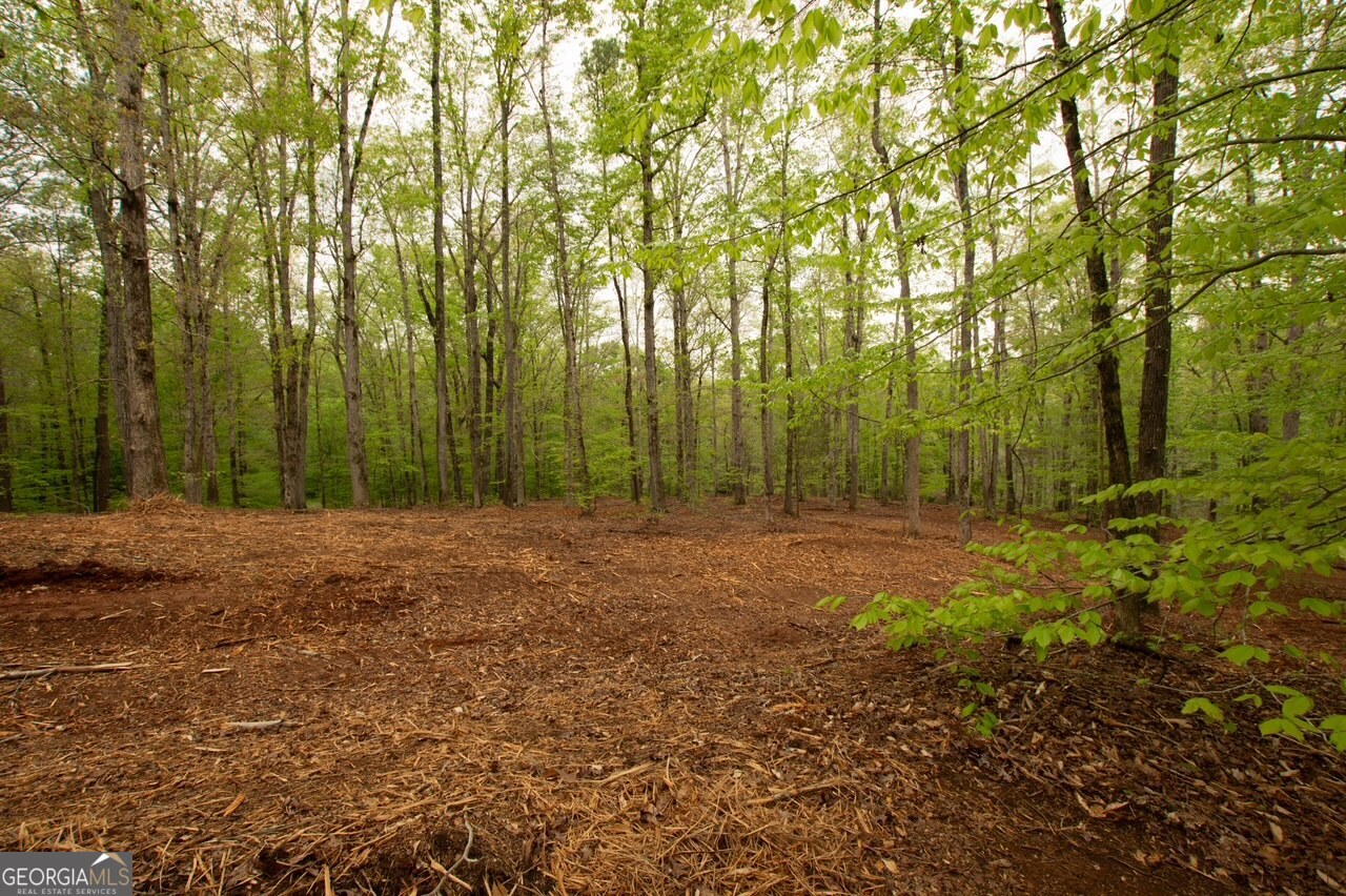 Land in Forsyth 5