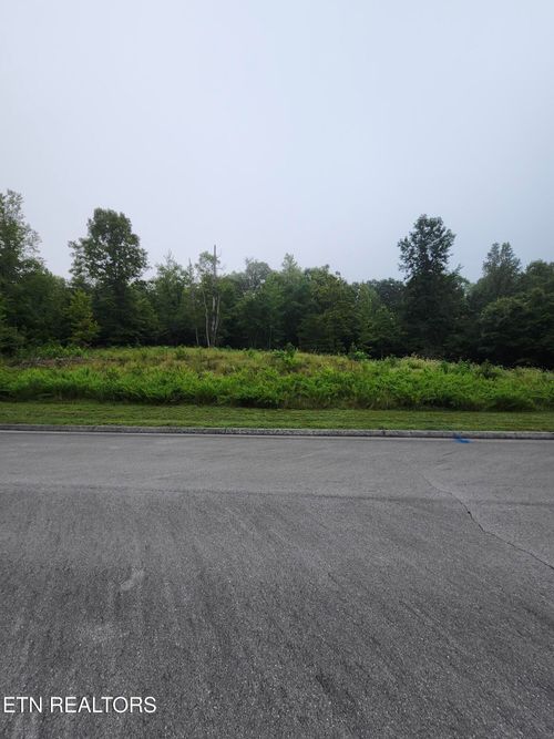 302 Caney View Dr, Harriman, TN, 37748 | Card Image