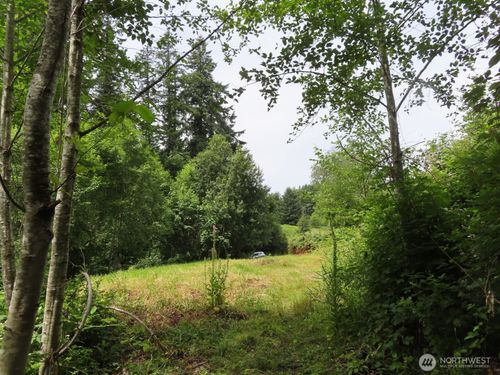 0 XXX Coleman Rd, Mossyrock, WA, 98564 | Card Image