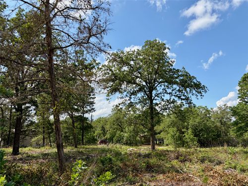 Lots-97/98 Shawnee Drive, Smithville, TX, 78957 | Card Image