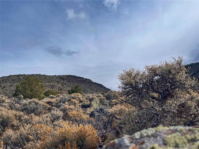 0 Brown Ct, Home with 0 bedrooms, 0 bathrooms and null parking in San Luis CO | Image 11