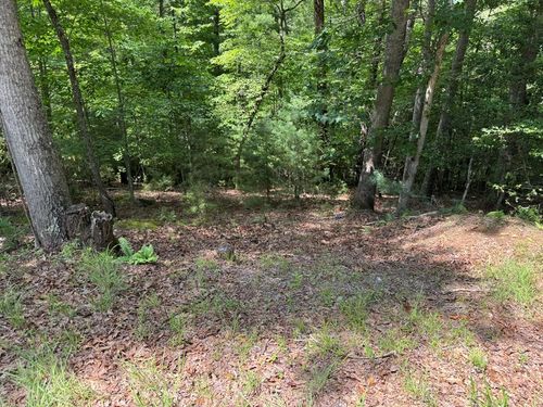Lot 3 Honeysuckle Dr, Blairsville, GA, 30512-0753 | Card Image