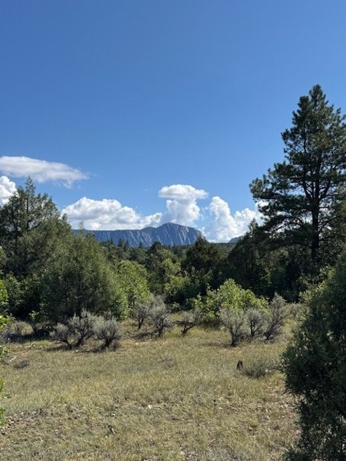 2 Cr 485, Tierra Amarilla, NM, 87575 | Card Image