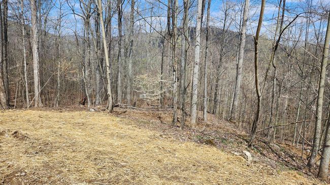 TRACT-2-PIKE-LAKE-GETAWA - 0 Pike Lake Rd, Home with 0 bedrooms, 0 bathrooms and null parking in Bainbridge OH | Image 46