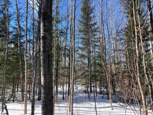 00 W Miller Rd, Mio, MI, 48647 | Card Image