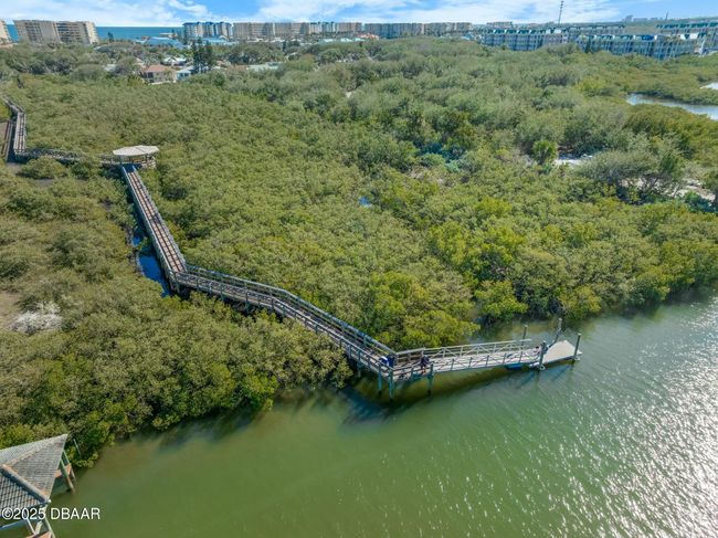 116 Beach St, House other with 3 bedrooms, 2 bathrooms and null parking in Ponce Inlet FL | Image 62