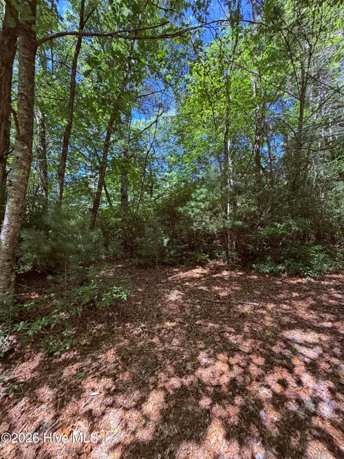 Lot 12 Holly Ridge Drive, Topton, NC, 28781 | Card Image